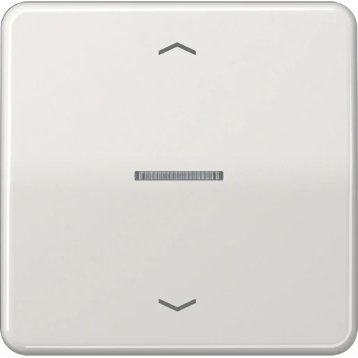 Jung CD range home stuurafdekking pijl licht grijs enkelvoudig Glanzend grijs RAL 7035 BTCD17101PLG