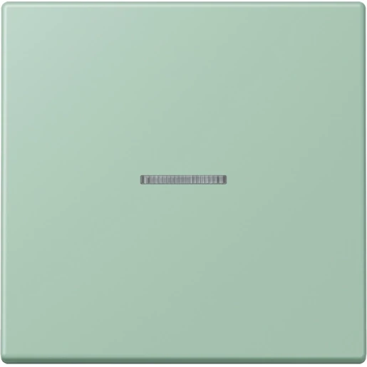 Jung LS range Home stuurafdekking LC32041 enkelvoudig Mat BTLC17101217