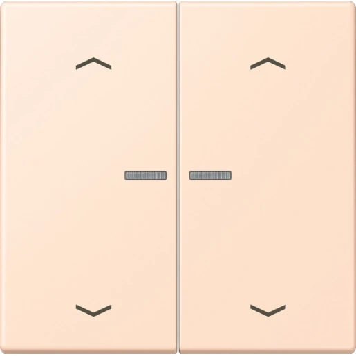 Jung LS range Home stuurafdekking pijl LC32091 2-voudig Mat BTLC17102P228