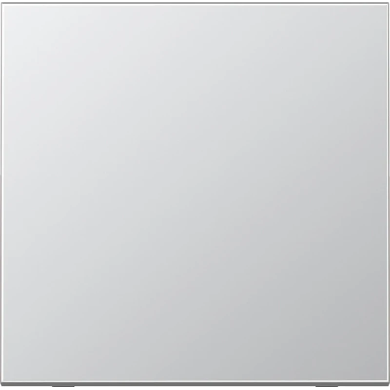 Jung LS range Stuurafdekking standaard enkelvoudig Mat aluminium RAL 9006 AL1700