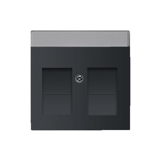 ABB Busch-Jaeger Future, Carat Centraalplaat Jack plug Centraalplaat 2 connectoren Met label antraciet 2CKA001710A3627