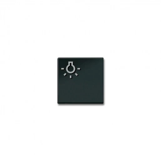 Siedle Lichttoets + lichtsymbool zwart 200029978-00