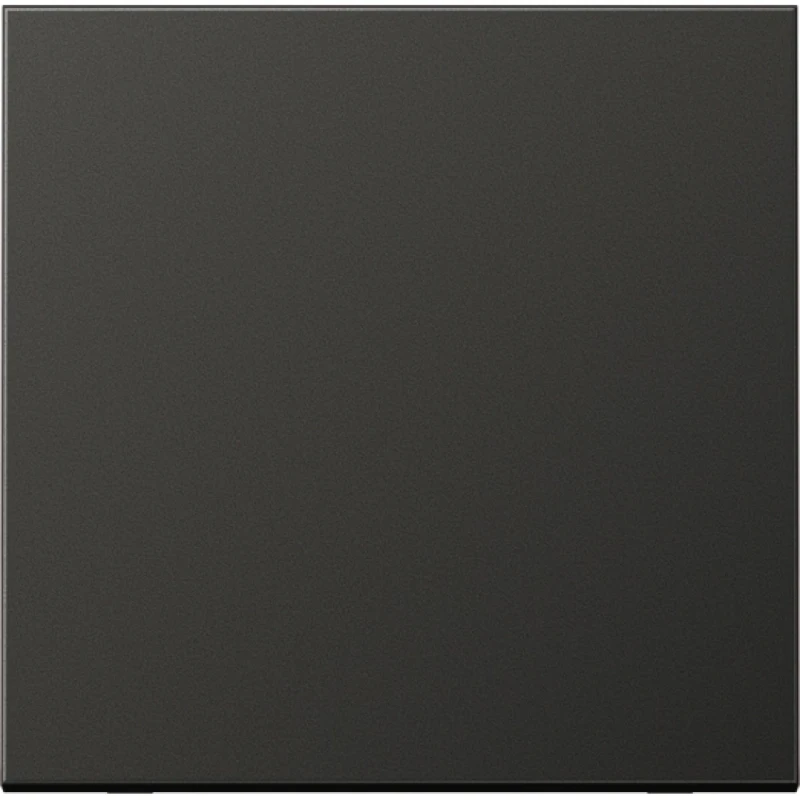 Jung LS range Stuurafdekking standaard enkelvoudig Mat antraciet RAL 7016 AL1700AN