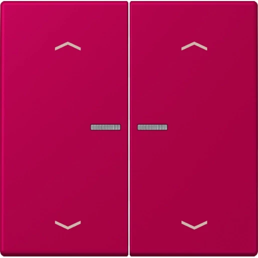 Jung LS range Home stuurafdekking pijl LC32101 2-voudig Mat BTLC17102P230