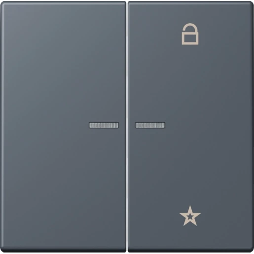 Jung LS range stuurafdekking universeel lc4320u 2-voudig Mat FMLC1701262