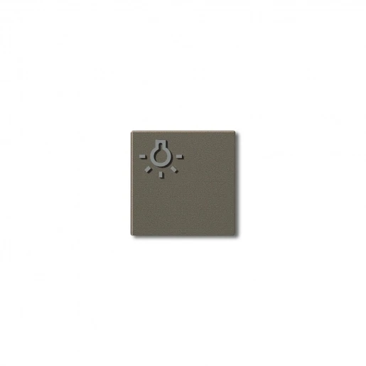 Siedle Lichttoets + lichtsymbool 200029979-00