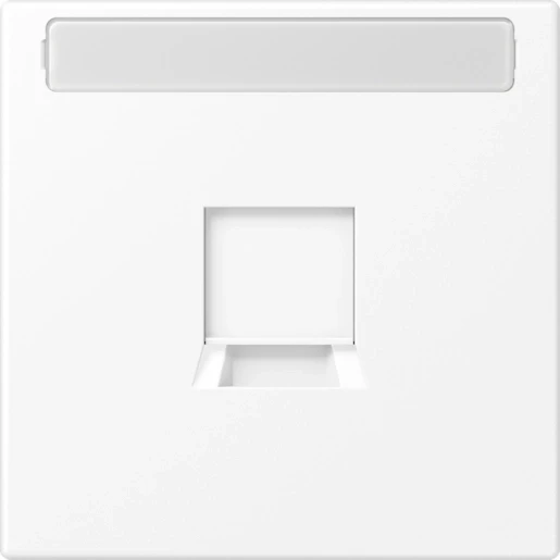 Jung LS range afdekking sneeuwwit ls900 Modular-Jack 1 connector Met label wit LS1969-1NAWEWWM