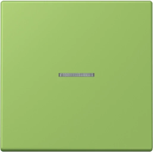 Jung LS range Home stuurafdekking LC32051 enkelvoudig Mat BTLC17101220