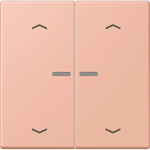 Jung LS range Home stuurafdekking pijl LC32102 2-voudig Mat BTLC17102P231