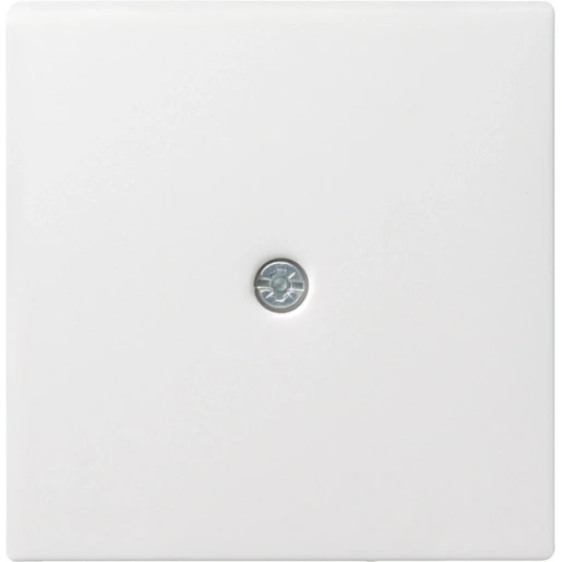 Gira System 55 afdekking snoeraftakking verbindingsdoos mat Centraalplaat Zonder label wit 027427
