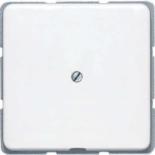 Jung CD range centraalplaat + kabelinvoerplaat cd500 Leidinguitvoer Basiselement met centrale afdekplaat MetaalZonder label platina CD590APT