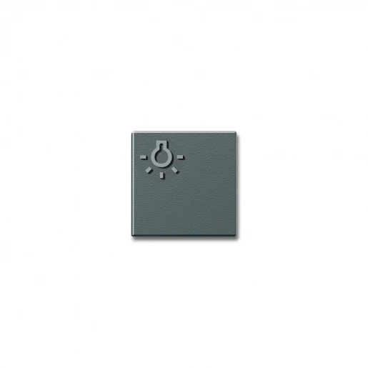 Siedle Lichttoets + lichtsymbool grijs 200029980-00