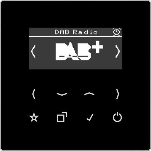 Jung LS range smartradio ls990 DAB+ FM ontvanger zwart DABLSSW