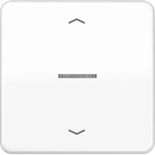 Jung CD range home stuurafdekking pijl alpine wit enkelvoudig Glanzend wit RAL 9016 BTCD17101PWW