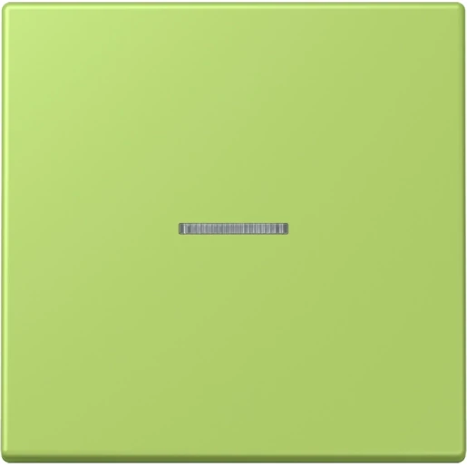 Jung LS range Home stuurafdekking LC32052 enkelvoudig Mat BTLC17101221