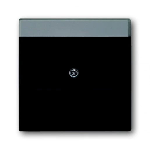 ABB Busch-Jaeger Future Centraalplaat Jack plug Centraalplaat 2 connectoren Met label zwart 2CKA001710A3910