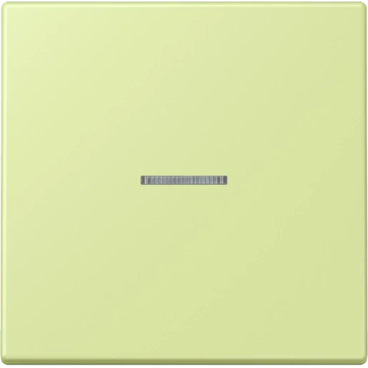 Jung LS range Home stuurafdekking LC32053 enkelvoudig Mat BTLC17101222