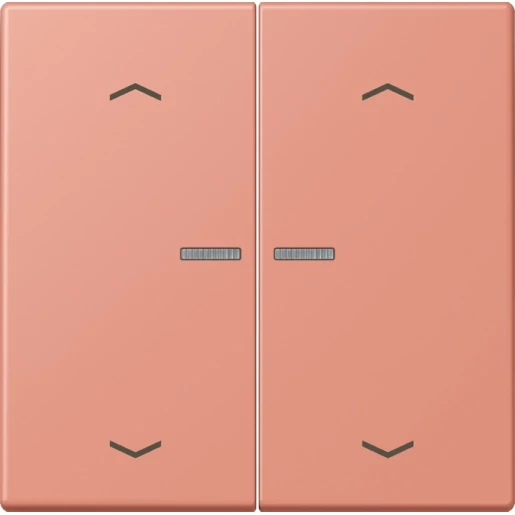 Jung LS range Home stuurafdekking pijl LC32111 2-voudig Mat BTLC17102P233