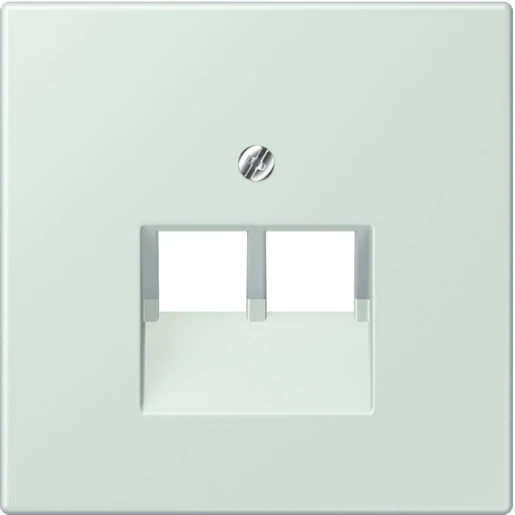 Jung LS range Afdekking centraalplaat LC32034 UAE/IAE 2 connectoren Zonder label LC969-2UA215