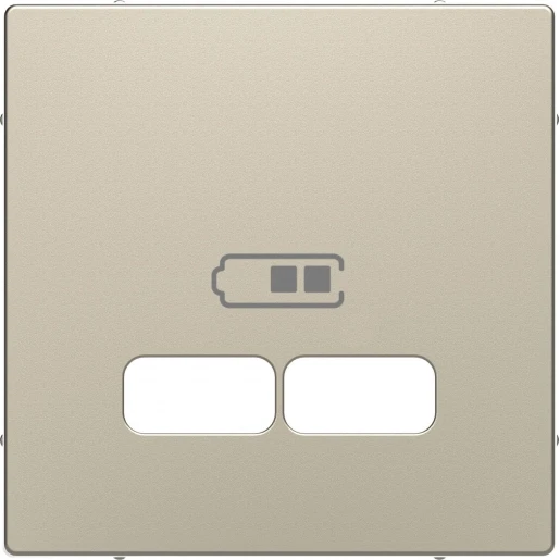 Merten Systeem M Centraalplaat USB Centraalplaat 2 connectoren Met label MTN4367-6033