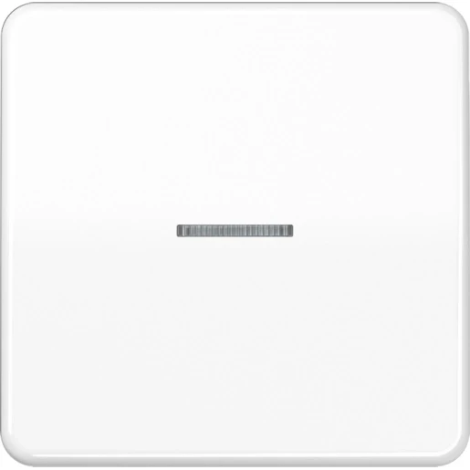 Jung CD range home stuurafdekking alpine wit enkelvoudig Glanzend wit RAL 9016 BTCD17101WW