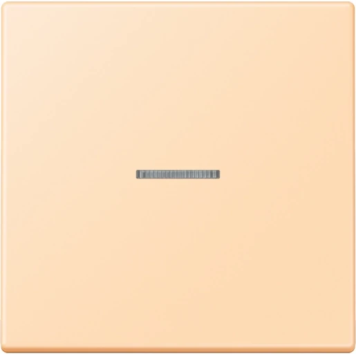 Jung LS range Home stuurafdekking LC32060 enkelvoudig Mat BTLC17101223