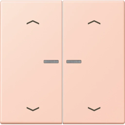 Jung LS range Home stuurafdekking pijl LC32112 2-voudig Mat BTLC17102P234