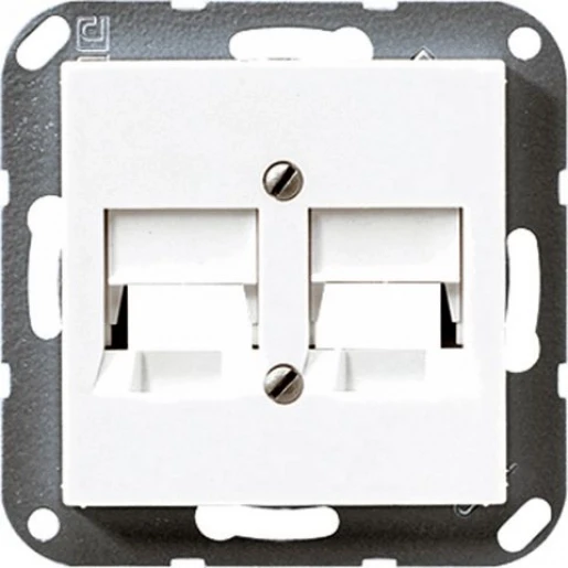 Jung AS range centraalplaat 2-voudig a(s)500 Modular-Jack 2 connectoren Zonder label wit A569-2NITT