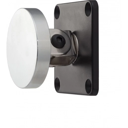 Maasland Security ankerpl 60gr voor deurmagn
