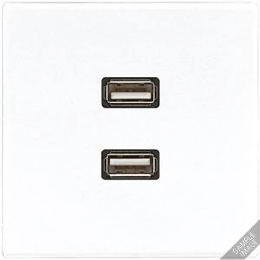 Jung LS range afdekking ls990 2x usb MALS1153