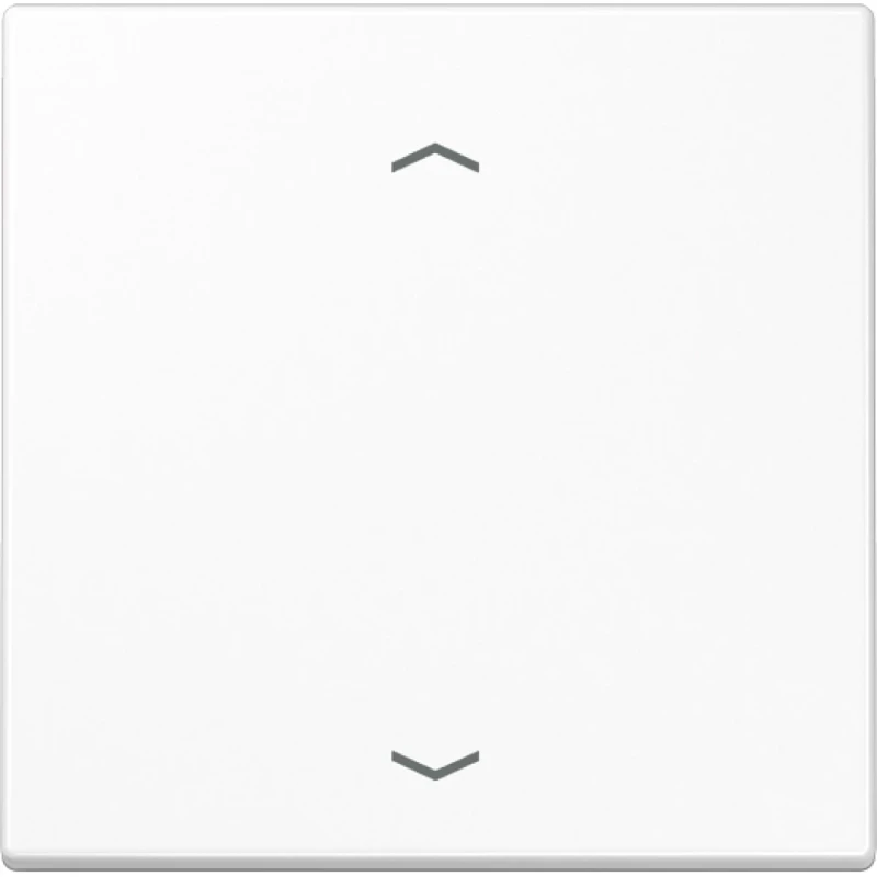Jung LS range Afdekking LS990 standaard 1730JE enkelvoudig Glanzend wit RAL 9016 LS1700PWW