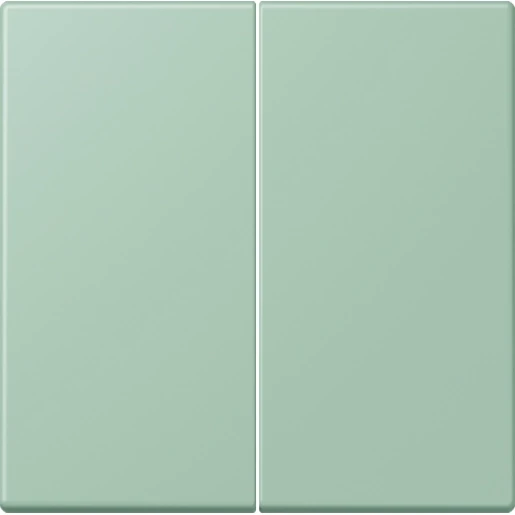 Jung LS range Stuurafdekking standaard LC32041 2-voudig Mat LC1702217