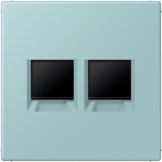 Jung LS range Afdekking centraalplaat AMP Radiall LC32033 Modular-Jack 2 connectoren Zonder label LC1969-2WE214