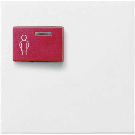 Gira System 55 miva centraalplaat oproepsysteem ackermann 73073 f/73073 f3 wit RAL 9010 022627