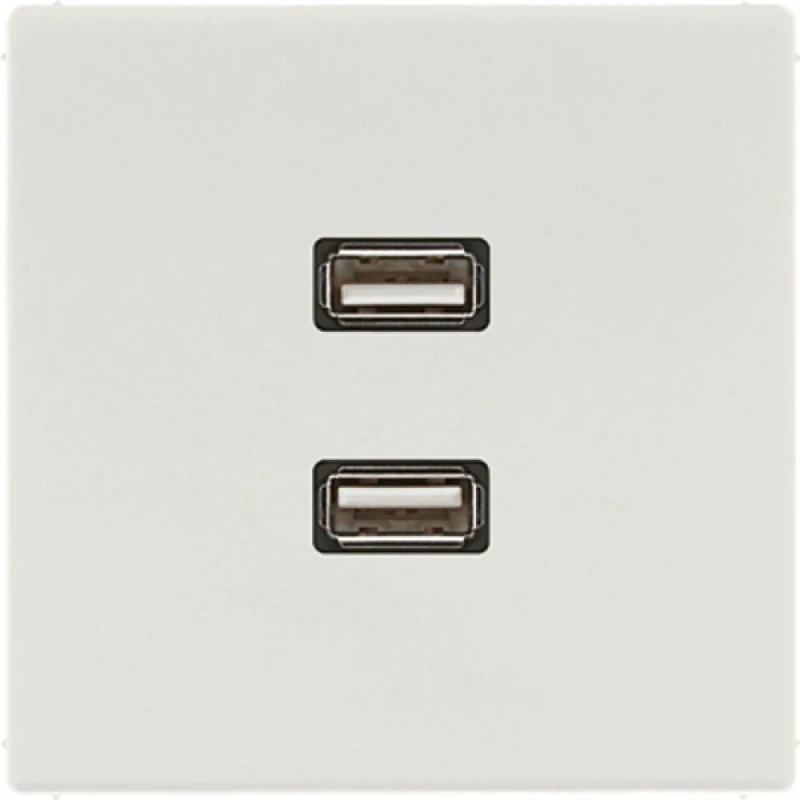 Jung LS range afdekking ls990 licht grijs 2x usb MALS1153LG