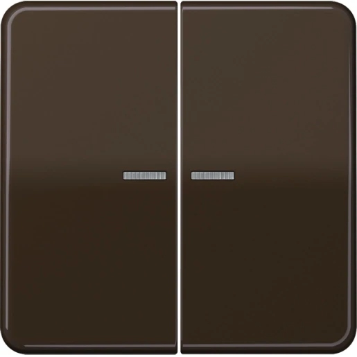 Jung CD range HOME stuurafdekking 2-voudig Glanzend bruin RAL 8022 BTCD17102BR