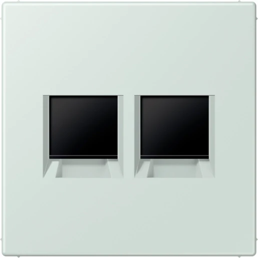 Jung LS range Afdekking centraalplaat AMP Radiall LC32034 Modular-Jack 2 connectoren Zonder label LC1969-2WE215
