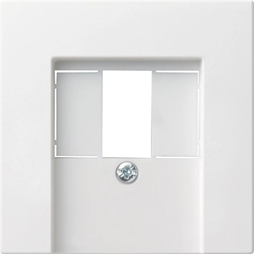 Gira System 55 afdekking usb mat TAE Centraalplaat Zonder label wit 027627