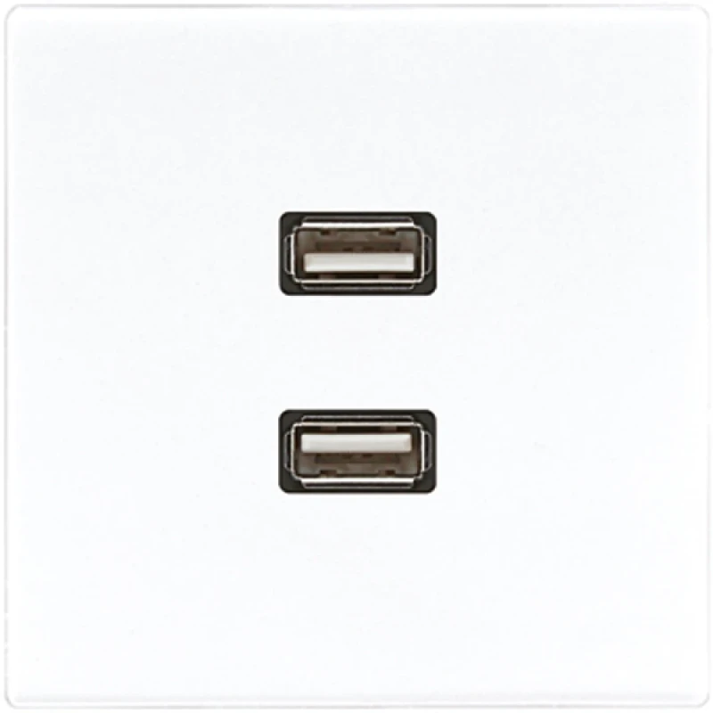 Jung LS range afdekking ls990 alpine wit 2x usb MALS1153WW