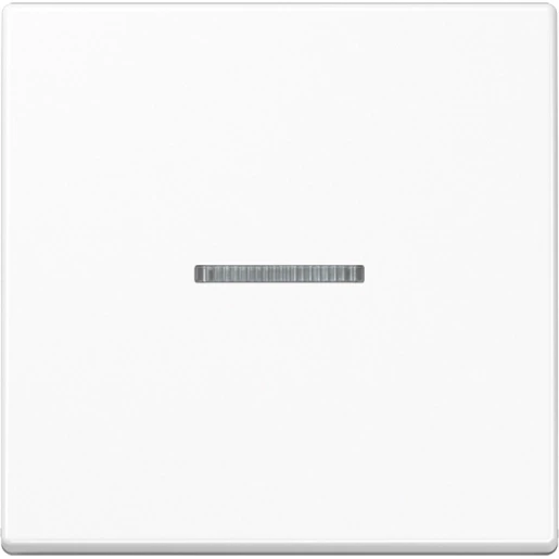 Jung AS range tastafdekking standaard alpine wit enkelvoudig Glanzend wit RAL 9016 FMAS1700WW