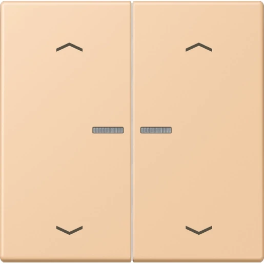 Jung LS range Home stuurafdekking pijl LC32122 2-voudig Mat BTLC17102P237