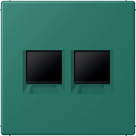 Jung LS range Afdekking centraalplaat AMP Radiall LC32040 Modular-Jack 2 connectoren Zonder label LC1969-2WE216