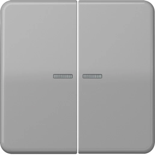 Jung CD range HOME stuurafdekking 2-voudig Glanzend grijs RAL 7038 BTCD17102GR