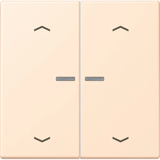 Jung LS range Home stuurafdekking pijl LC32123 2-voudig Mat BTLC17102P238