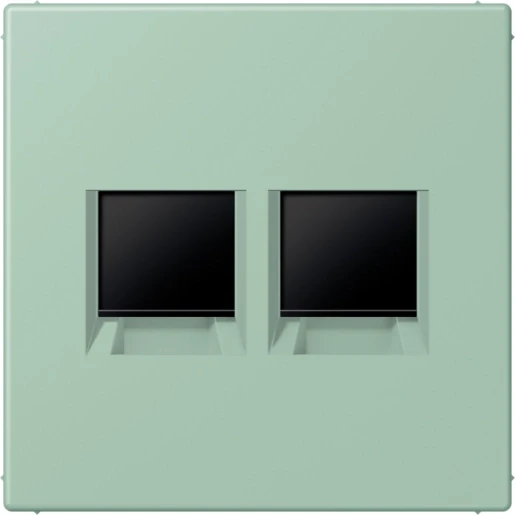 Jung LS range Afdekking centraalplaat AMP Radiall LC32041 Modular-Jack 2 connectoren Zonder label LC1969-2WE217