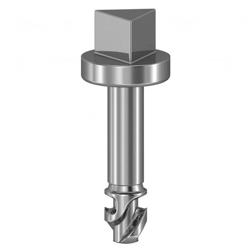Sarel SHAPE HEAD SCREWS TRIANGLE 3MM