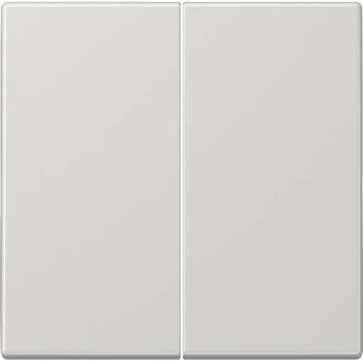 Jung LS range tastafdekking ls990 licht grijs 2-voudig Glanzend grijs RAL 7035 LS1702LG