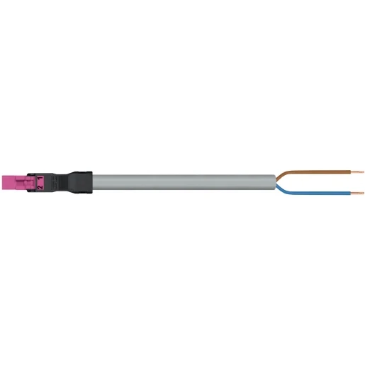 Wago SERIE 891 Patchkabel gebouwinstallatie 2p Stekker Vrij kabeluiteinde 2000mm