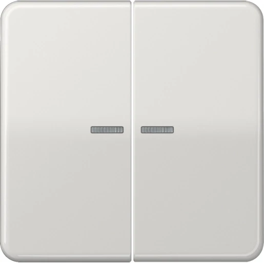 Jung CD range home stuurafdekking licht grijs 2-voudig Glanzend grijs RAL 7035 BTCD17102LG