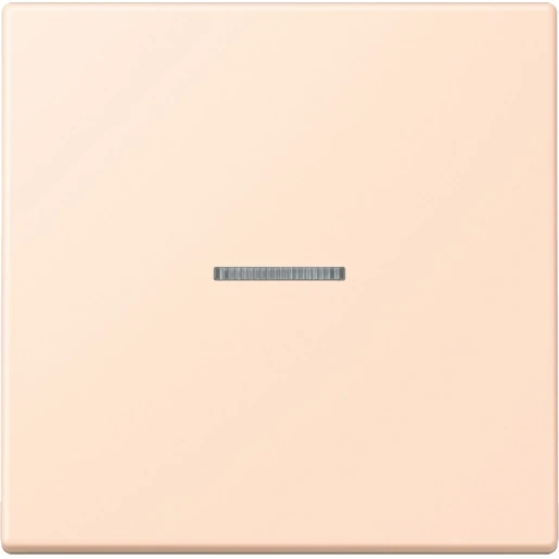 Jung LS range Home stuurafdekking LC32091 enkelvoudig Mat BTLC17101228